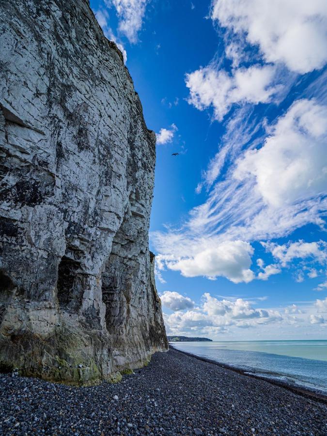 L'Horizon Bleu - Vue Panoramique & Proche Plage - Espace & Confort Lejlighed Dieppe Eksteriør billede